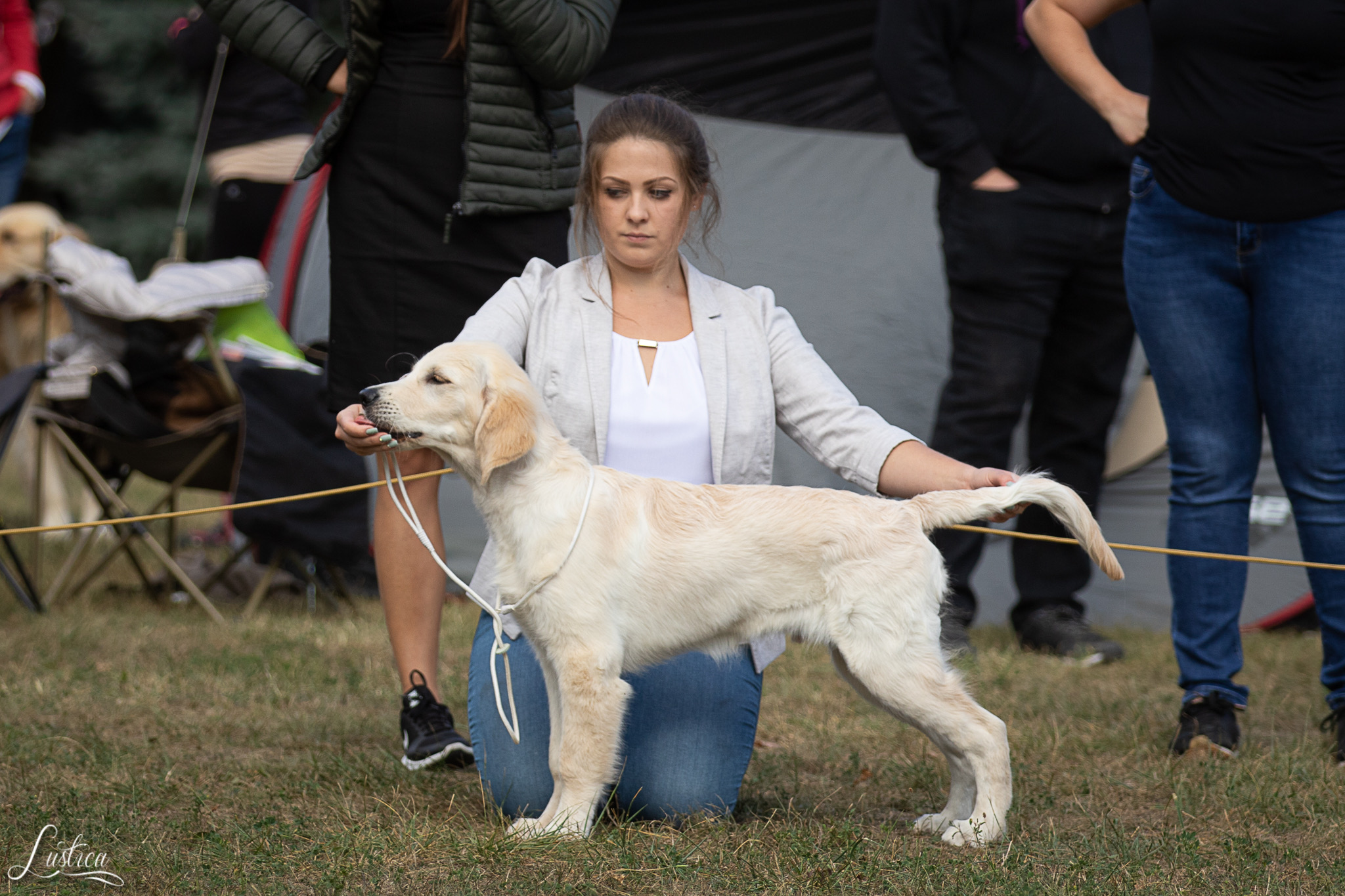 Lindenhoney Born of Starshine ‘Riley’