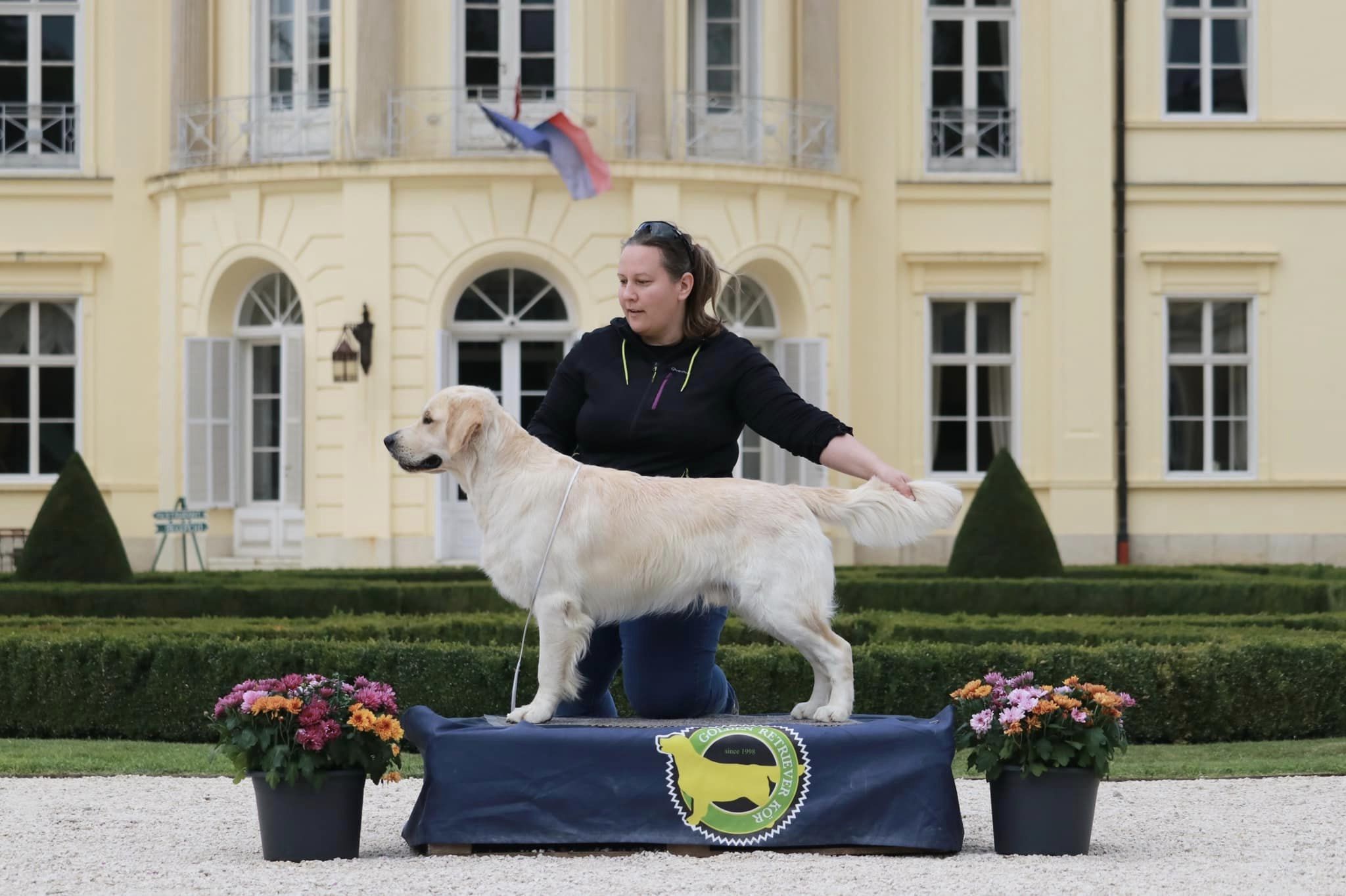 Lindenhoney Born of Starshine