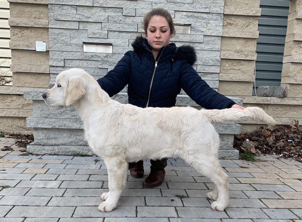 Lindenhoney Aerial Dancer