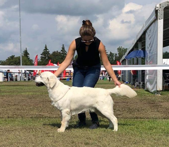 Lindenhoney After the Rainbow 'Grey'