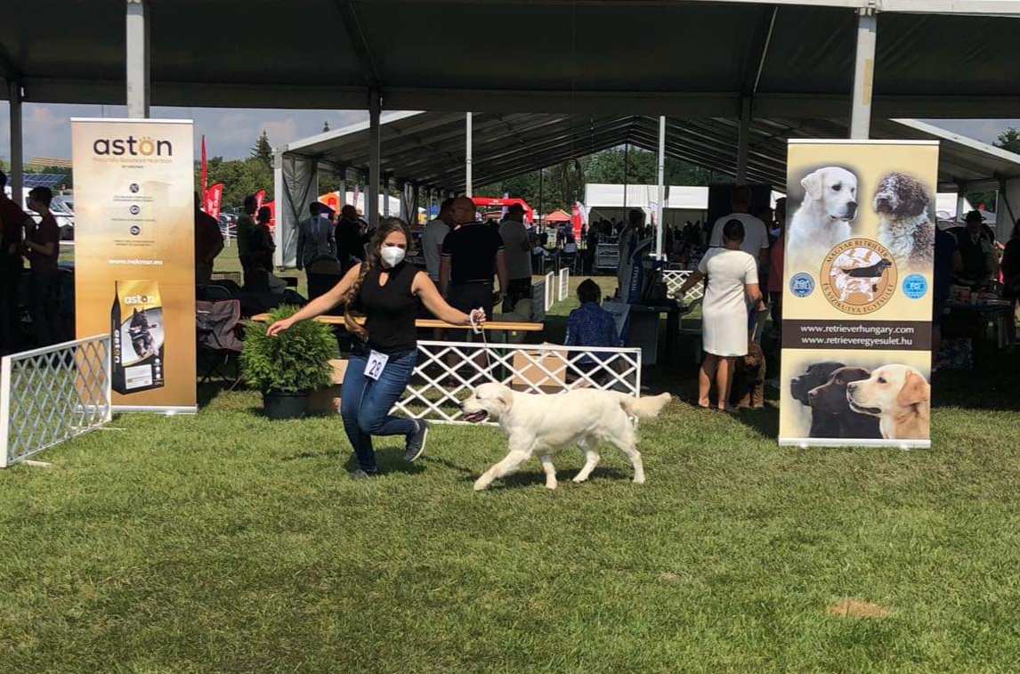 Lindenhoney Aerial Dancer