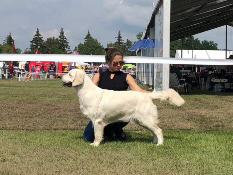 Lindenhoney Aerial Dancer
