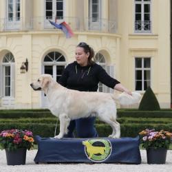 Lindenhoney Born of Starshine 'Riley'