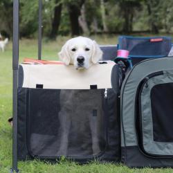 Lindenhoney Aerial Dancer 'Rosie' as audience