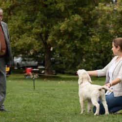 Shamrock Journey Of Life 'Jane'