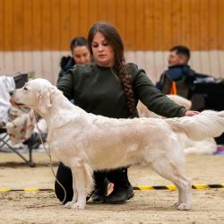 Shamrock Journey Of Life ‘Jane’ 