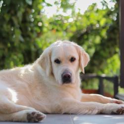 Jane relaxing on the balcony