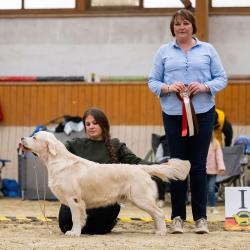 Angelonato Majestic Wizard