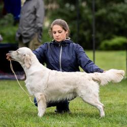 Shamrock Journey Of Life