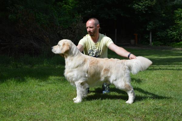 Star is Born of Sunshine's Valley 'Winston'