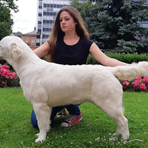 Lindenhoney Aerial Dancer (9,5 months)