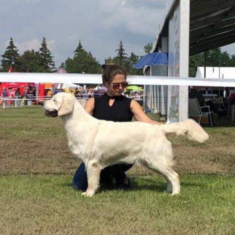 Lindenhoney Aerial Dancer (1 year)