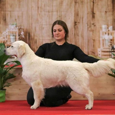 Shamrock Journey Of Life ‘Jane’ 8 months