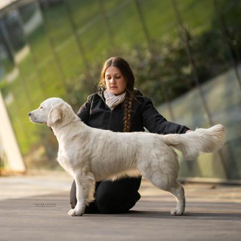 Shamrock Journey Of Life, 9 months