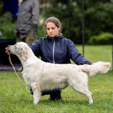 Shamrock Journey Of Life, 16 months