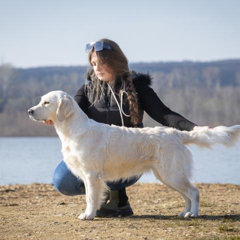 Shamrock Journey Of Life